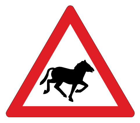 Horses ahead