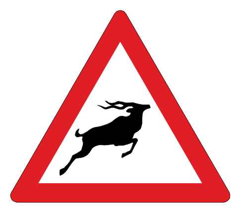 Wild animals ahead