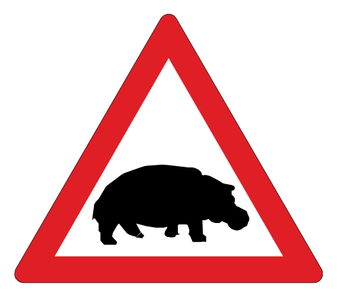 Hippos ahead