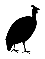Conservancy name symbol