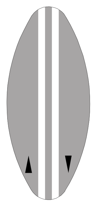 No crossing double-line