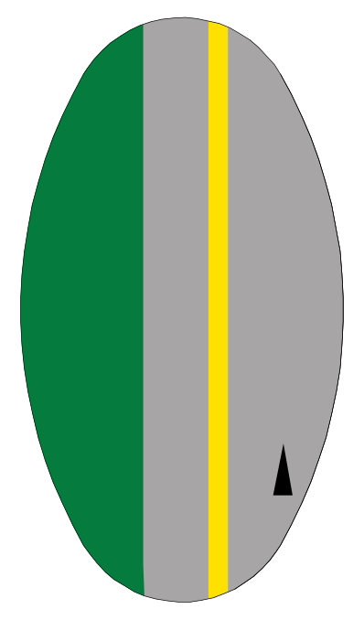 ROAD SURFACE MARKINGS: REGULATORY MARKINGS
