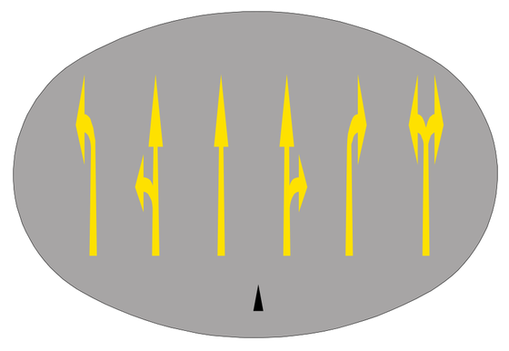 Mandatory arrows, white or yellow: obey