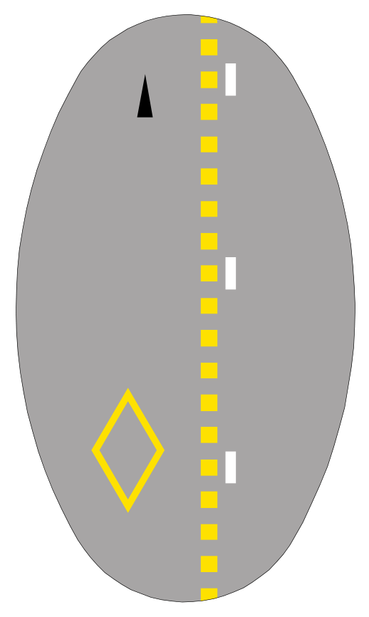 Lane reserved for hazardous goods vehicles only