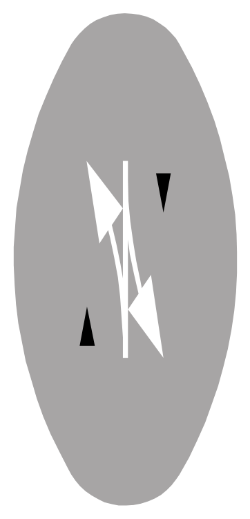 No overtaking or crossing line ahead